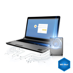 Disque Dur Western Digital 1 To (1000Go) S-ATA 3 - Caviar Blue (WD10EZEX)
