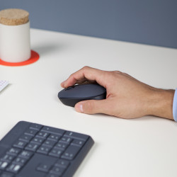 Souris sans fil Logitech M170 (Gris)