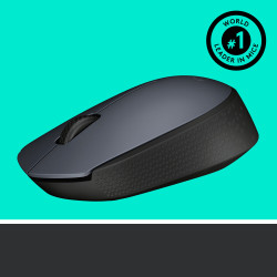 Souris sans fil Logitech M170 (Gris)