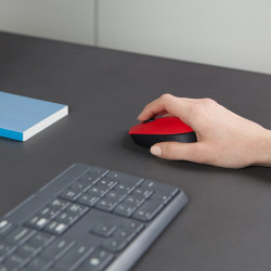 Souris sans fil Logitech Cordless Laser M171 (Noir Rouge)