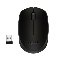Souris sans fil Logitech Cordless Laser M171 (Noir)