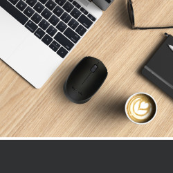 Souris sans fil Logitech Cordless Laser M171 (Noir)