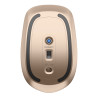 Souris sans fil HP 5000 (Noir Argent Cendré)