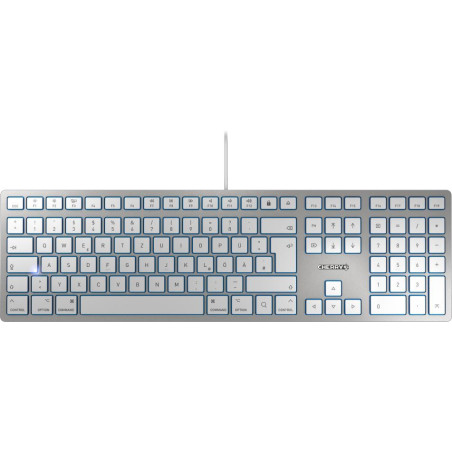 Clavier Cherry KC-6000 compatible Mac USB (Argent)