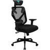 Fauteuil ergonomique ThunderX3 Yama3 (Noir Bleu)