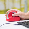 Souris sans fil Bluetooth ergonomique pour droitier R-Go He Sport (Gris Rouge)