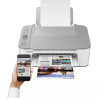 Imprimante Multifonctions Canon Pixma TS3451 (Blanc)