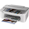 Imprimante Multifonctions Canon Pixma TS3451 (Blanc)