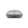 Souris sans fil rechargeable NGS Snoop Multimode (2.4Ghz+Bluetooth) (Gris)