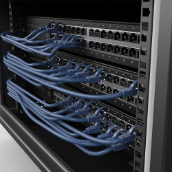 Lot de 20 Connecteurs verrous RJ45 Lindy sans clé (vérrouillage RJ45 mural)