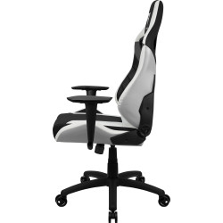 Fauteuil Gamer ThunderX3 XC3 (Noir Blanc)