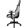 Fauteuil Gamer ThunderX3 XC3 (Noir Blanc)