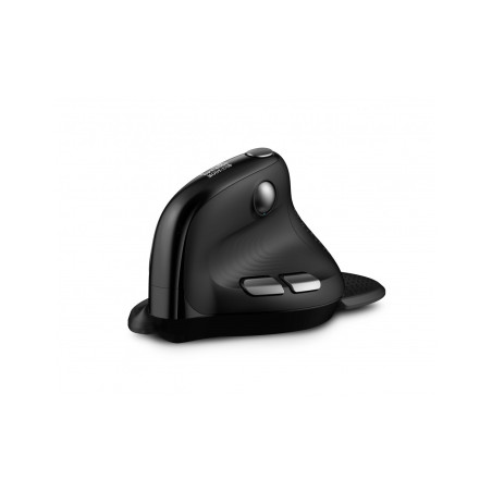 Souris sans fil Bluetooth ergonomique Urban Factory Ergo Max RGB pour Droitier(Noir)