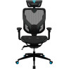 Fauteuil ergonomique ThunderX3 Yama7 (Noir Bleu)