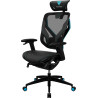 Fauteuil ergonomique ThunderX3 Yama7 (Noir Bleu)