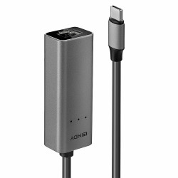 Carte Réseau Lindy USB 3.1 Type C vers RJ45 2,5 Gigabit (Gris)