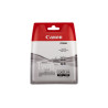 Pack 2 cartouches d'encre Canon PG-520BK (Noir)