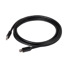 Cable Mini DisplayPort 1.4 Club3D M M 2m (Noir)