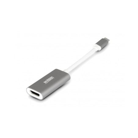 Adaptateur USB-C Urban Factory vers HDMI 15cm (Gris)