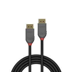 Câble DisplayPort 1.4 Lindy 2m M M (Gris)