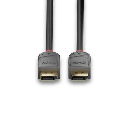 Câble DisplayPort 1.4 Lindy 2m M M (Gris)