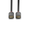 Câble DisplayPort 1.4 Lindy 2m M M (Gris)