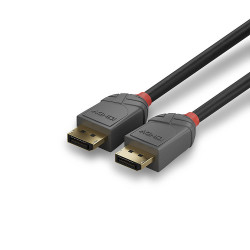 Câble DisplayPort 1.4 Lindy 2m M M (Gris)