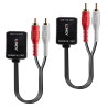 Extendeur Lindy 2x RCA via RJ45 jusqu'à 500m
