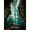 Puzzle Ravensburger - XXL   Harry Potter VS Voldemort (200 pièces)