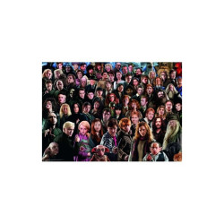 Puzzle Ravensburger - Challenge   Harry Potter (1000 pièces)