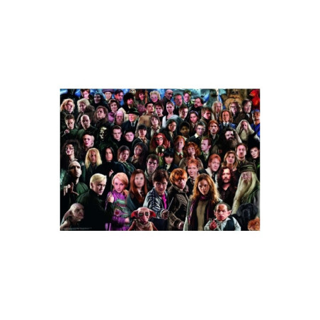 Puzzle Ravensburger - Challenge   Harry Potter (1000 pièces)