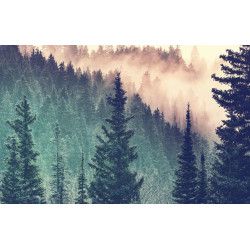 Puzzle Ravensburger - Forêt (200 pièces)
