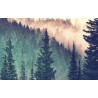 Puzzle Ravensburger - Forêt (200 pièces)