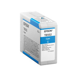 EPSON ENCRE T850200 C