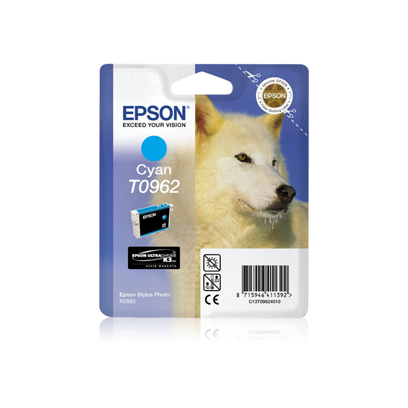 EPSON ENCRE K3 C ALARME