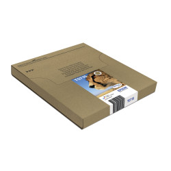 EPSON ENCRE T071 EASYMAIL MULTIPACK