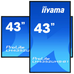 IIYAMA LFD 43 dalle IPS 24 7 3840x2160 DVI VGA 3xHDMI  2xHaut-parleurs DisplayP