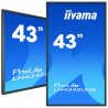IIYAMA LFD 42.5 dalle IPS LED 18 7 3840x2160 DVI 3xHDMI  2xHaut-parleurs Displa