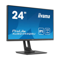 Ecran IIYAMA 24 Noir LED IPS 16 9 4ms WQHD 2560x1440 300 cd m  HPs HDMI Display