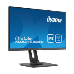 Ecran IIYAMA 24 Noir LED IPS 16 9 4ms WQHD 2560x1440 300 cd m  HPs HDMI Display