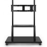 Support muralViewSonic VB-STND-001-2C Trolley avec roulettes compatib moniteurs 