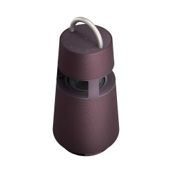 LG Enceinte BT portable Xboom RP4 Bordeaux Foncé 120W Omnidirectionnel, Effets l