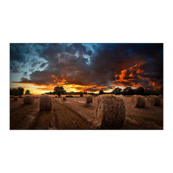 ECRAN SAMSUNG 55'' LFD 16 9 24h 7j FHD (1920x1080) 500cd m  Tizen 4.0 DVI Displa