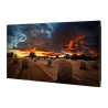 ECRAN SAMSUNG 55'' LFD 16 9 24h 7j FHD (1920x1080) 500cd m  Tizen 4.0 DVI Displa