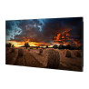 ECRAN SAMSUNG 46'' LFD 16 9 24h 7j FHD (1920x1080) 500cd m  Tizen 4.0 DVI Displa