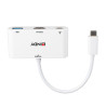 Convertisseur USB 3.1 Type C vers HDMI  avec port USB Type A et Power Delivery