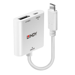 Convertisseur USB Type C vers DisplayPort avec Power Delivery