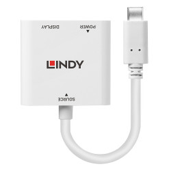 Convertisseur USB Type C vers DisplayPort avec Power Delivery