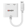 Convertisseur USB Type C vers DisplayPort avec Power Delivery