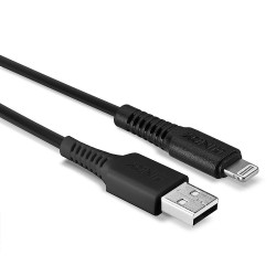 Câble USB A Lindy vers Lightning 50cm (Noir)